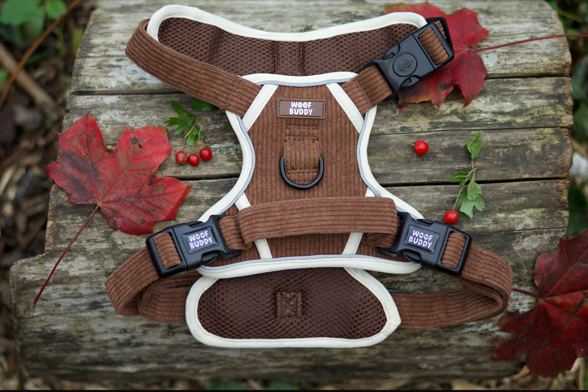 Forest Paws adjustable harness