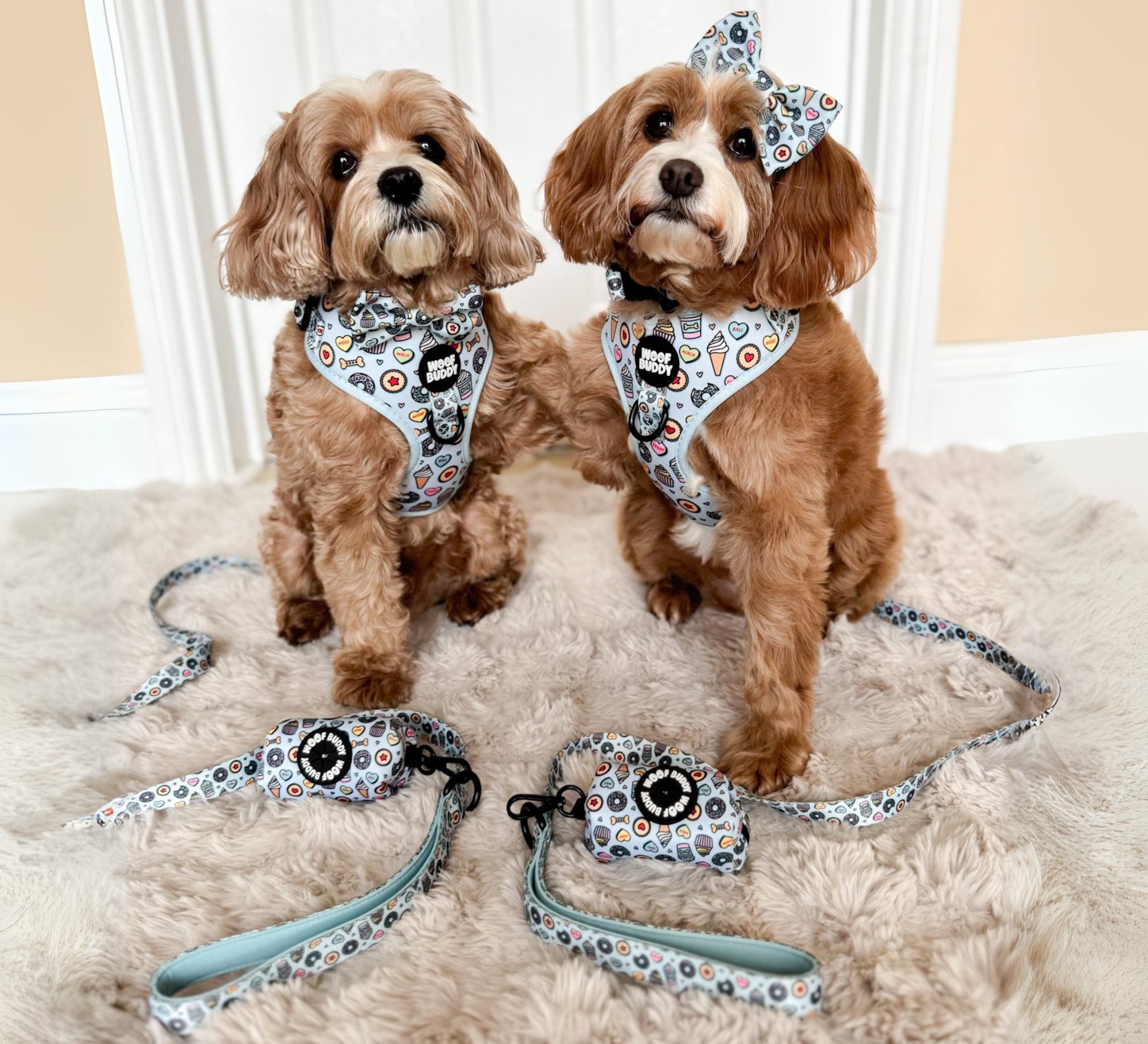 Some Buddy Loves You Full Set