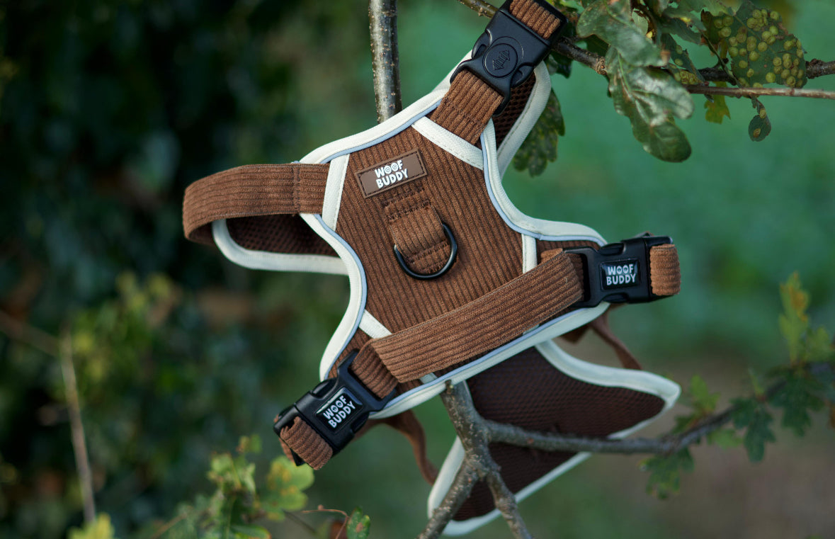 Forest Paws adjustable harness