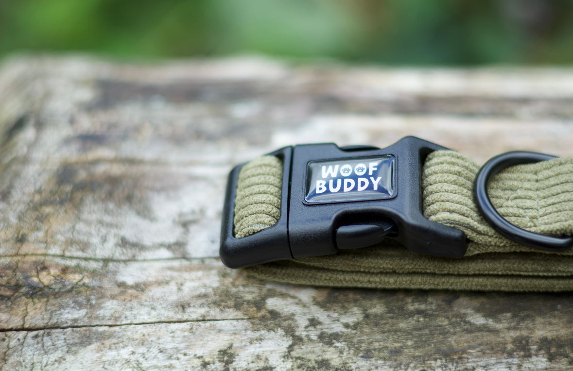 Trail Buddy Collar