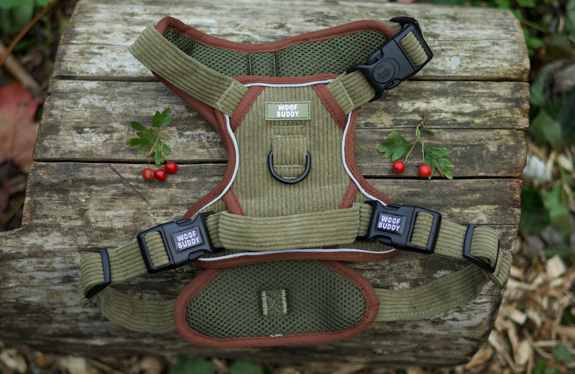 Trail Buddy adjustable harness