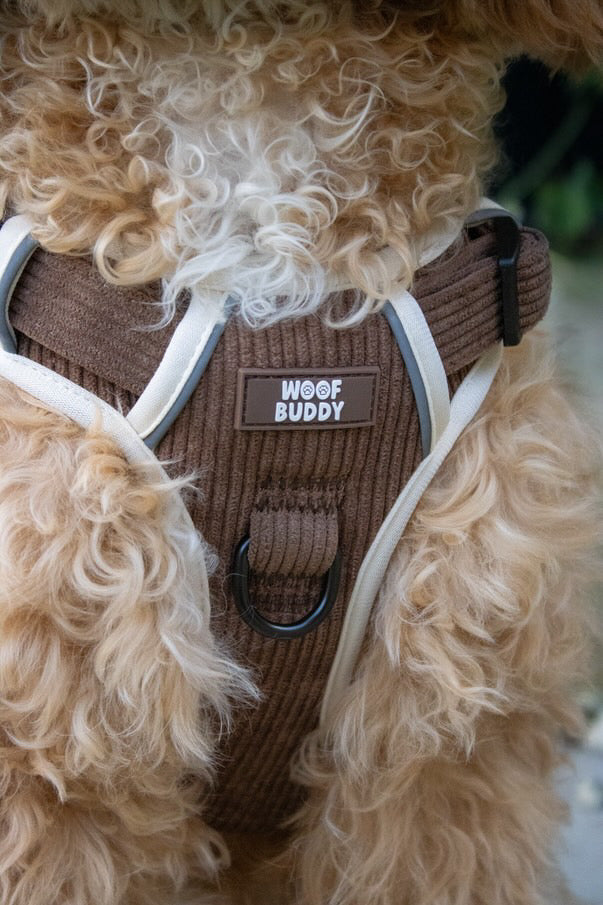 Forest Paws adjustable harness