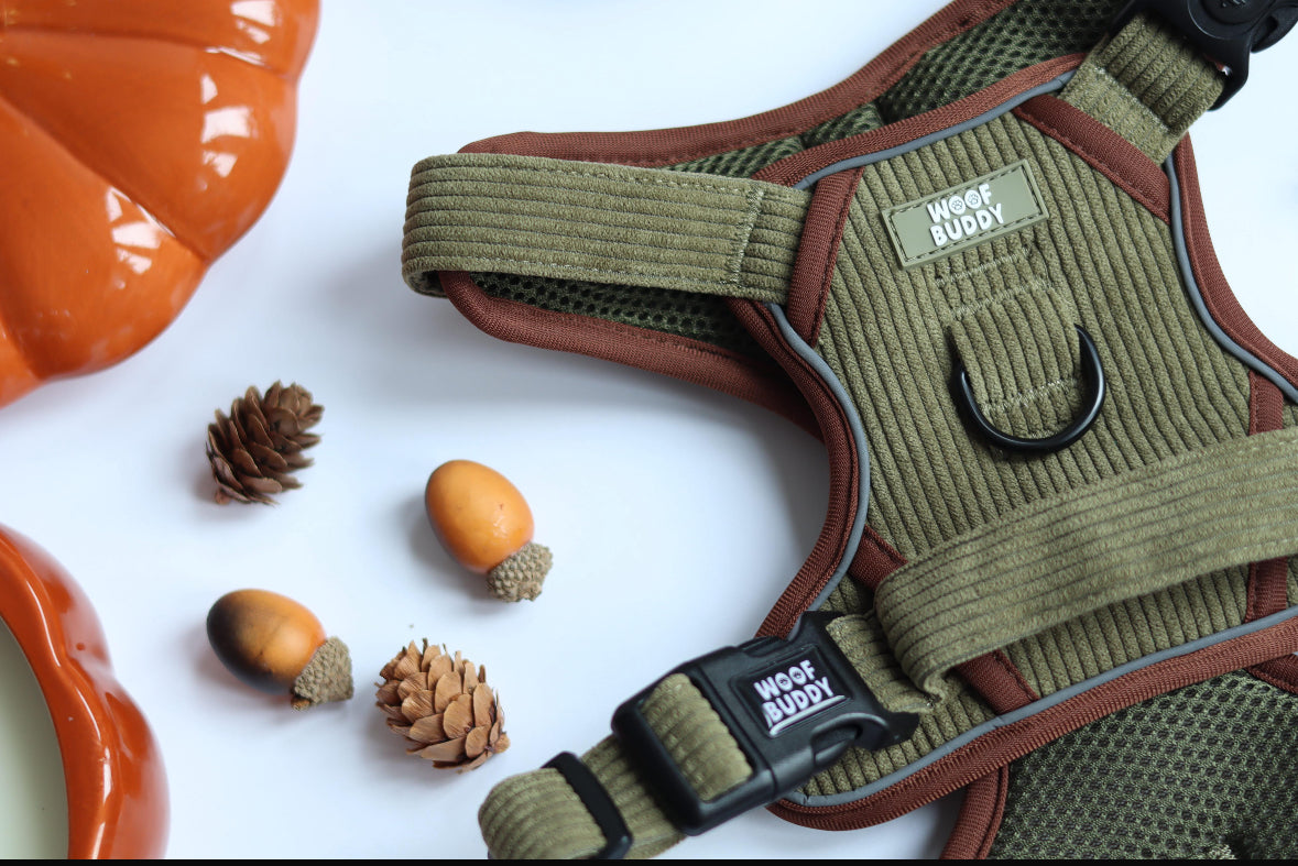 Trail Buddy adjustable harness