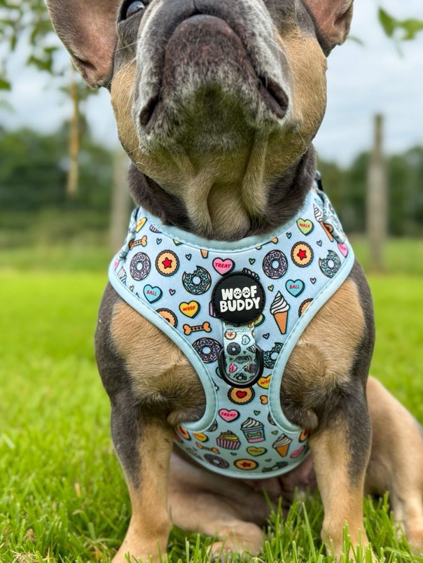 Some Buddy Loves You Adjustable Dog Harness
