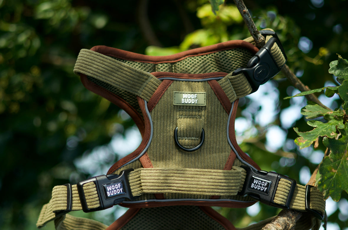 Trail Buddy adjustable harness