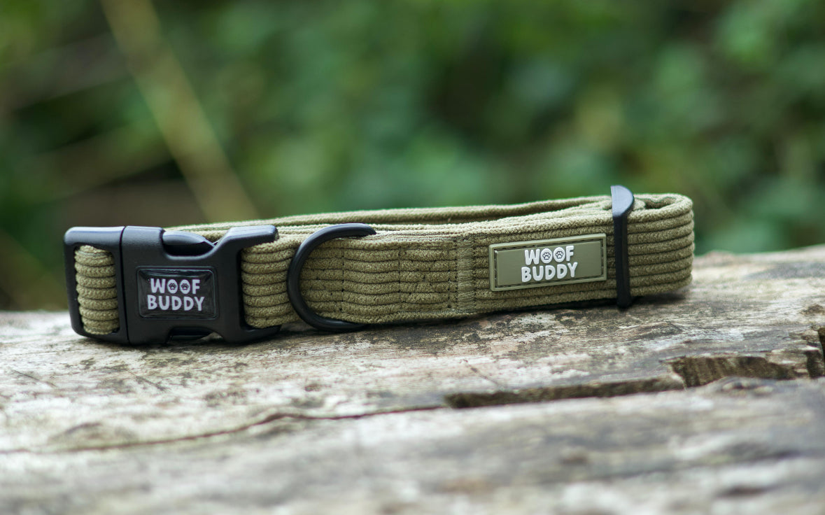Trail Buddy Collar
