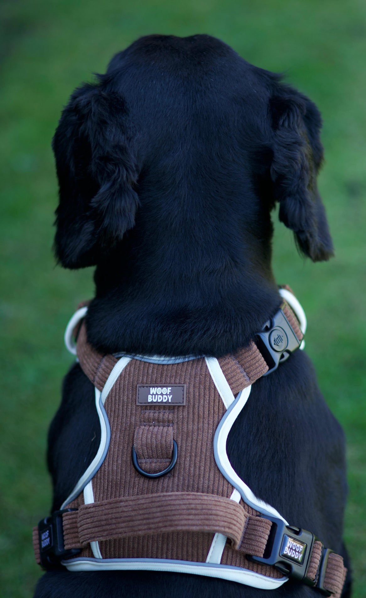Forest Paws adjustable harness