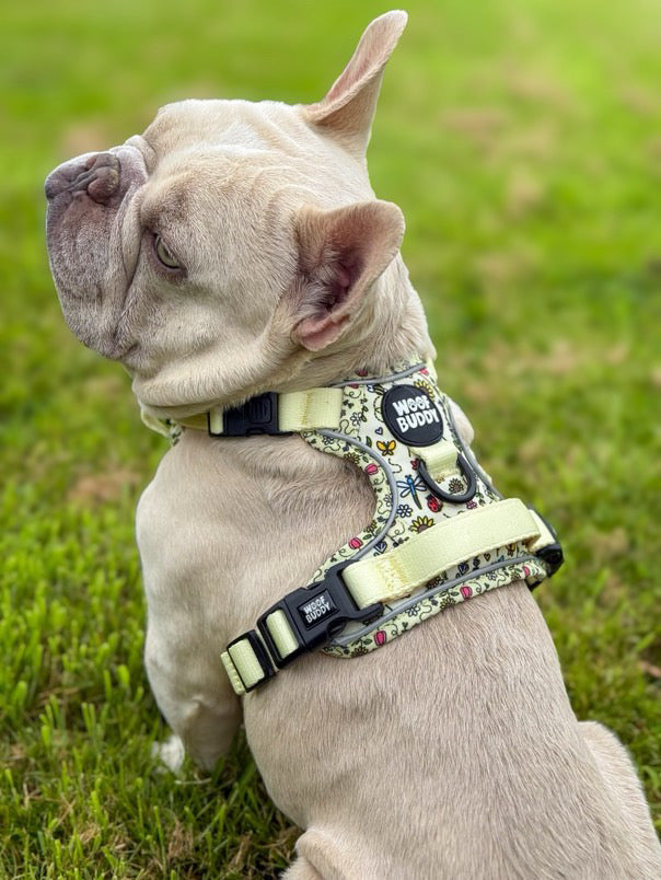 Buzzy Blooms Tough Harness