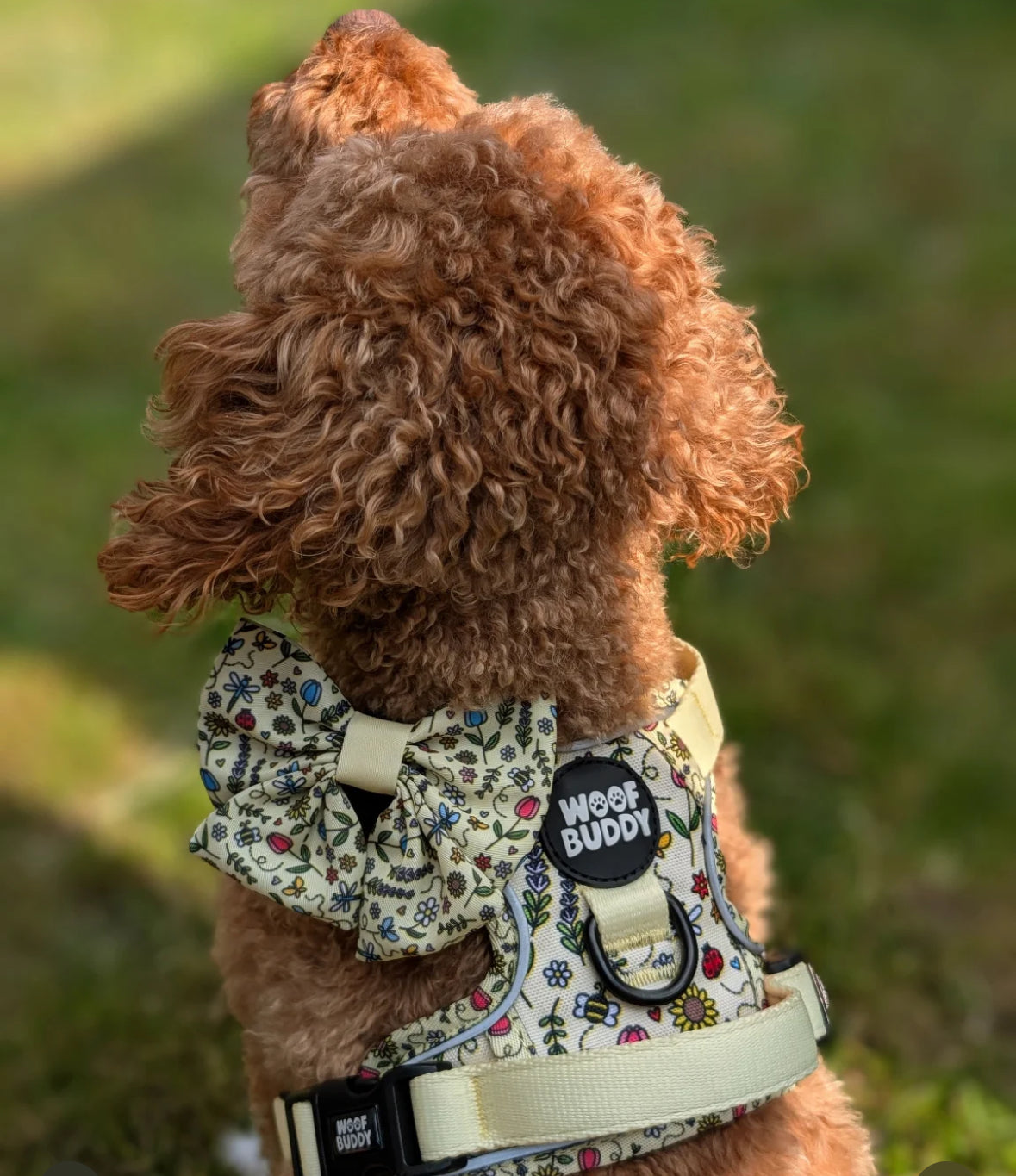 Buzzy Blooms Tough Harness