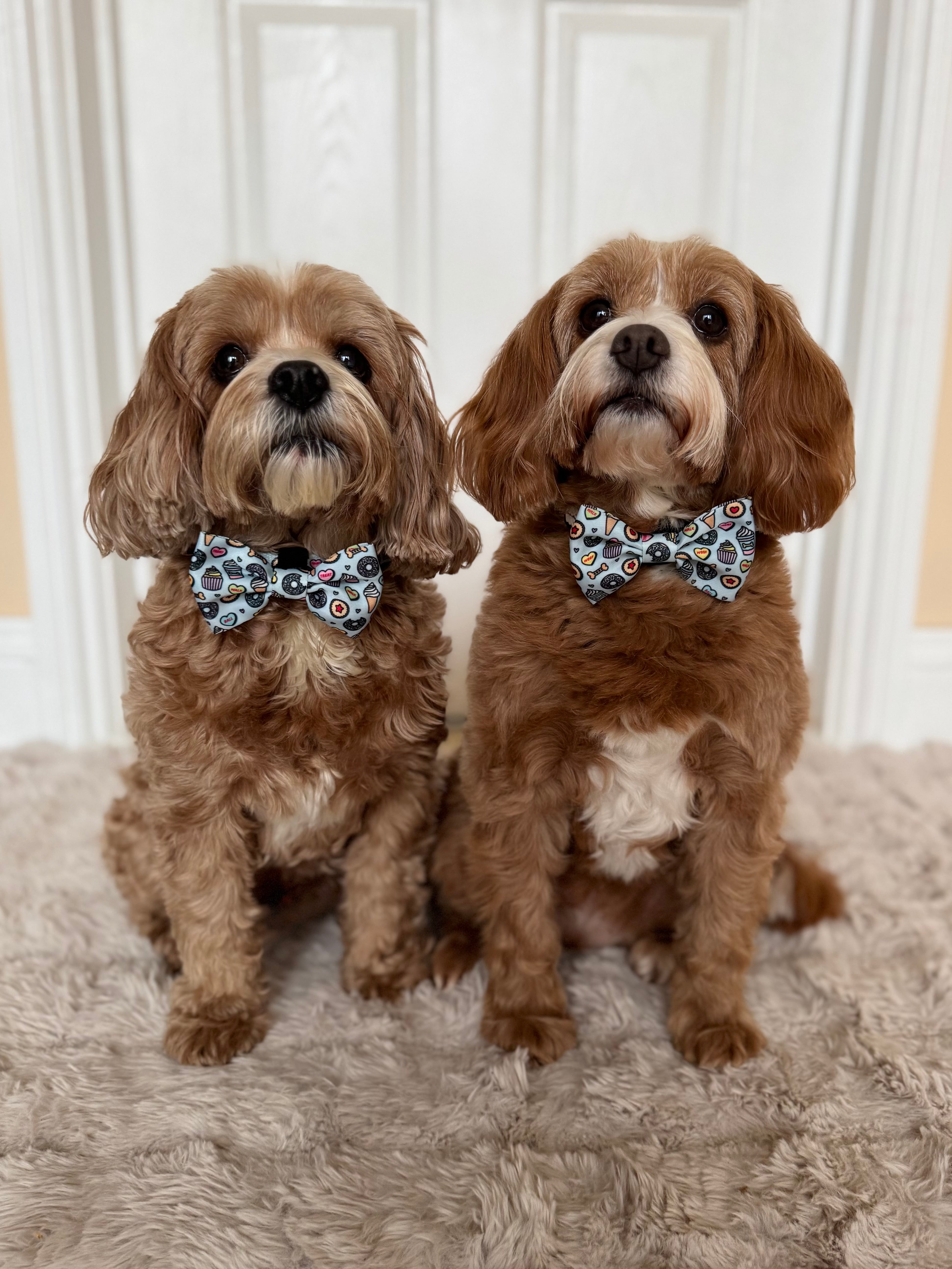 Some Buddy Loves You Dog Bow Tie