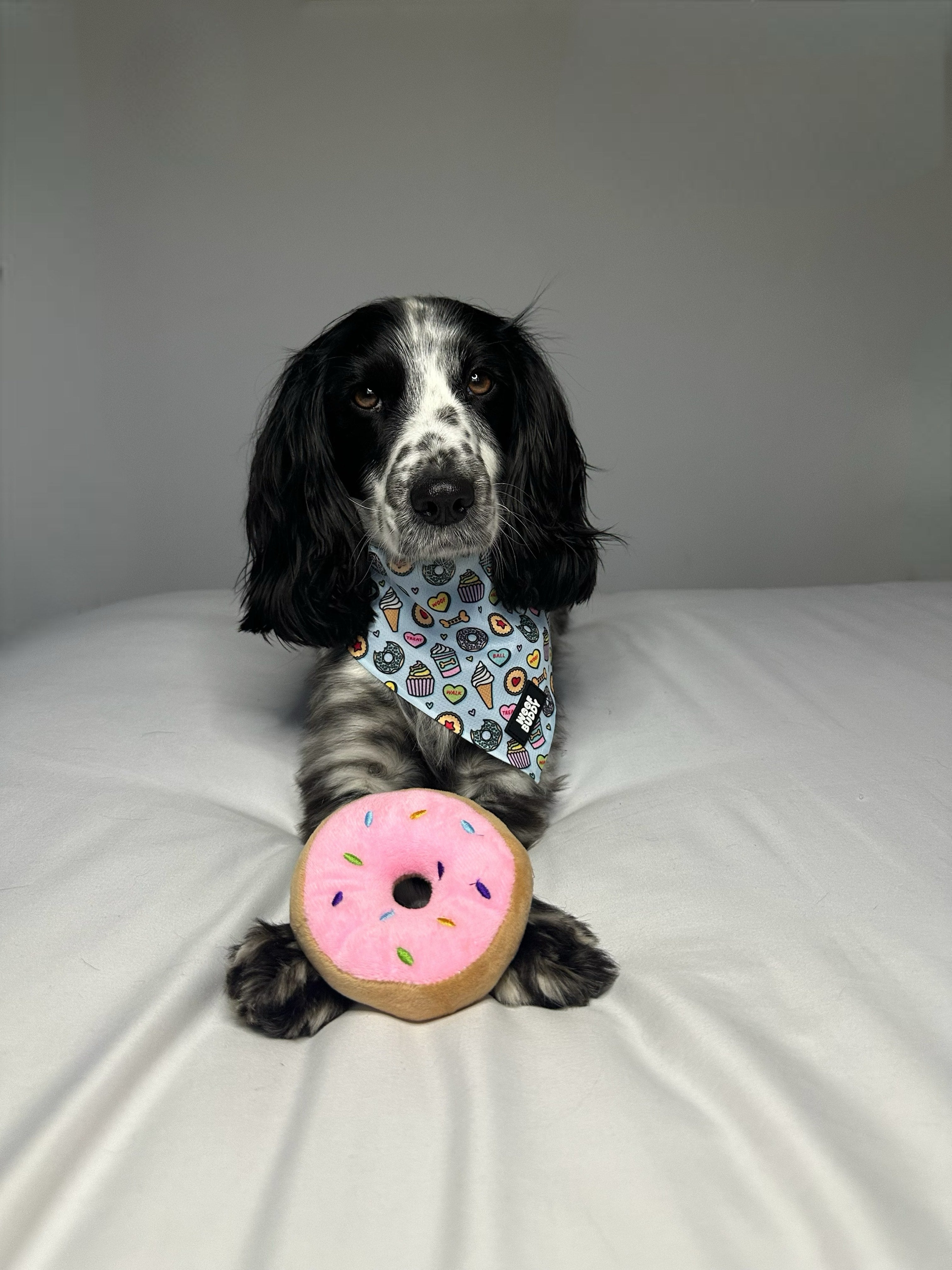 Some Buddy Loves You Dog Bandana