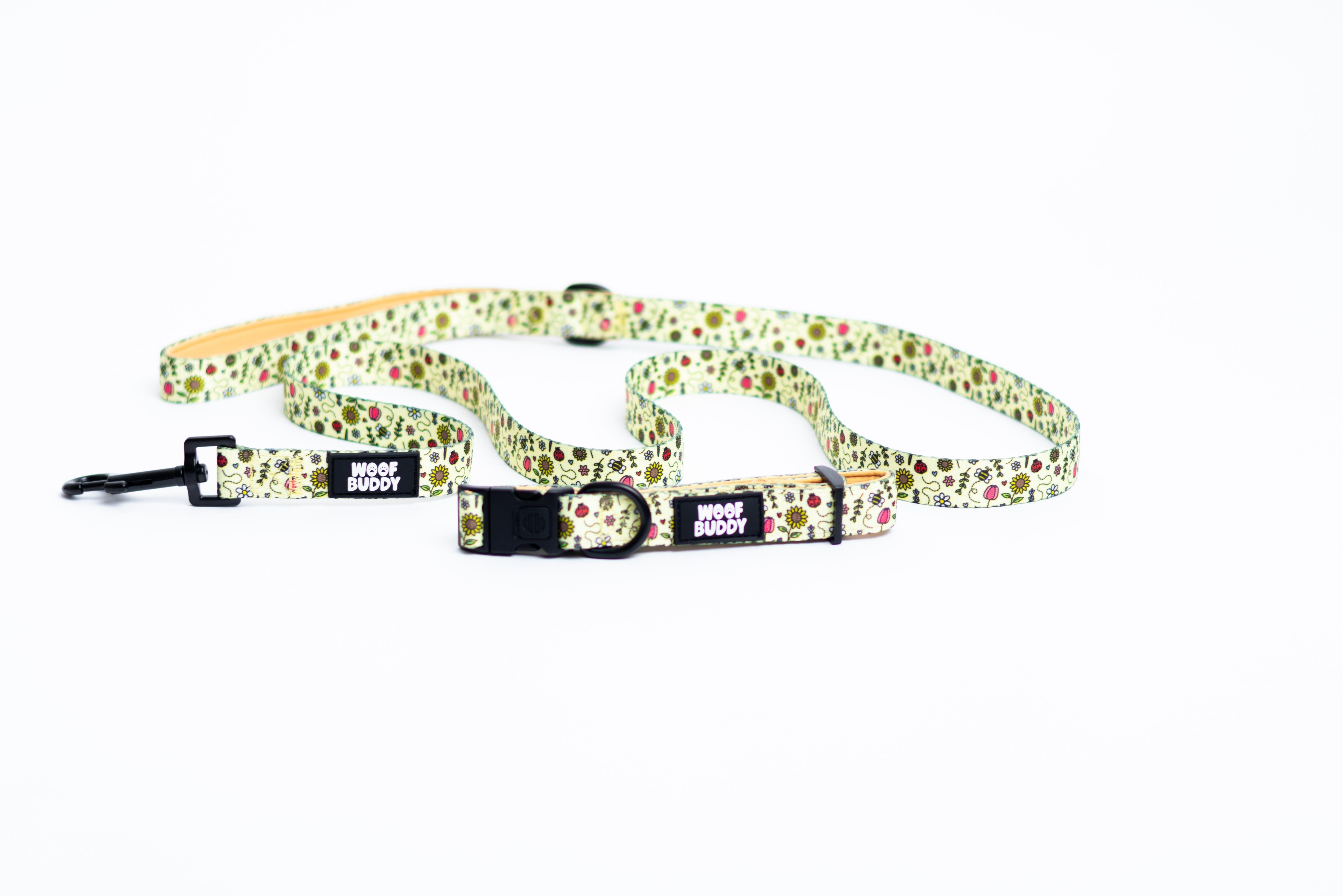 Buzzy Blooms Lead