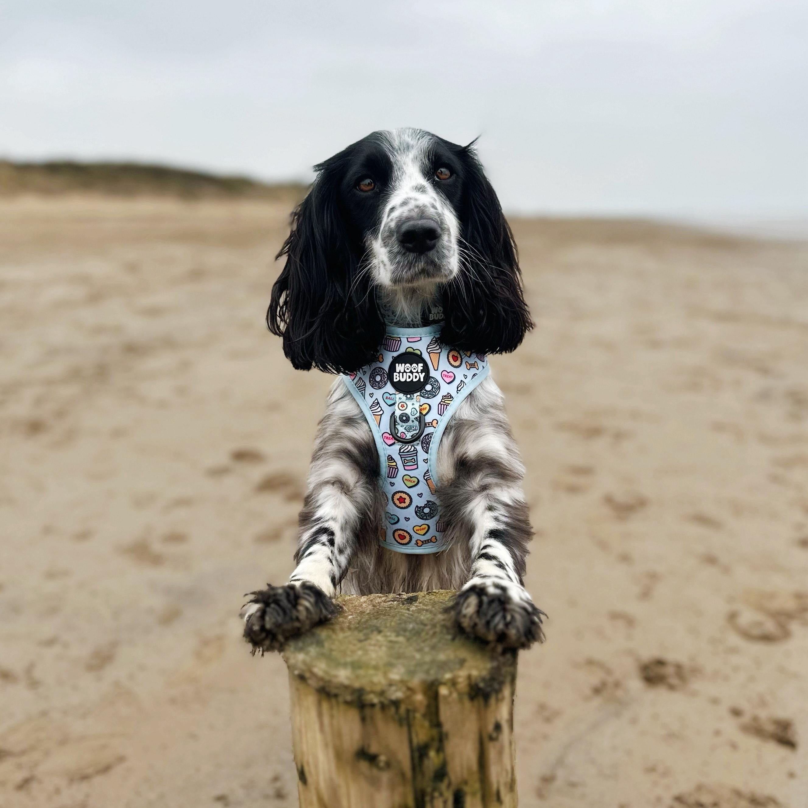 Some Buddy Loves You Adjustable Dog Harness