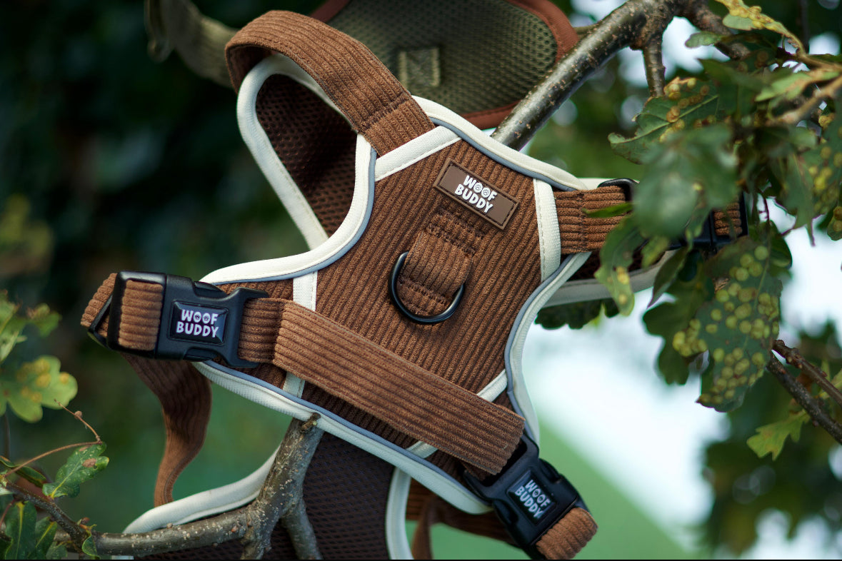 Forest Paws adjustable harness