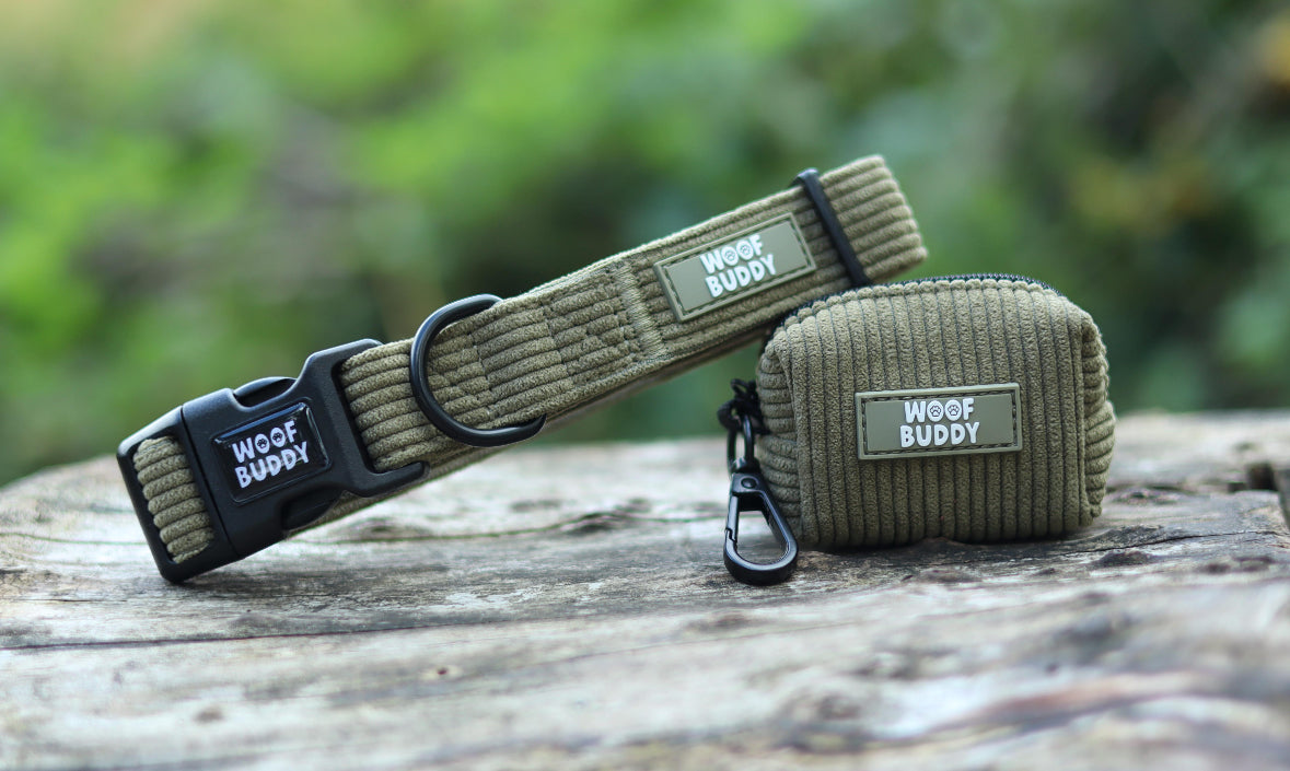 Trail Buddy Collar