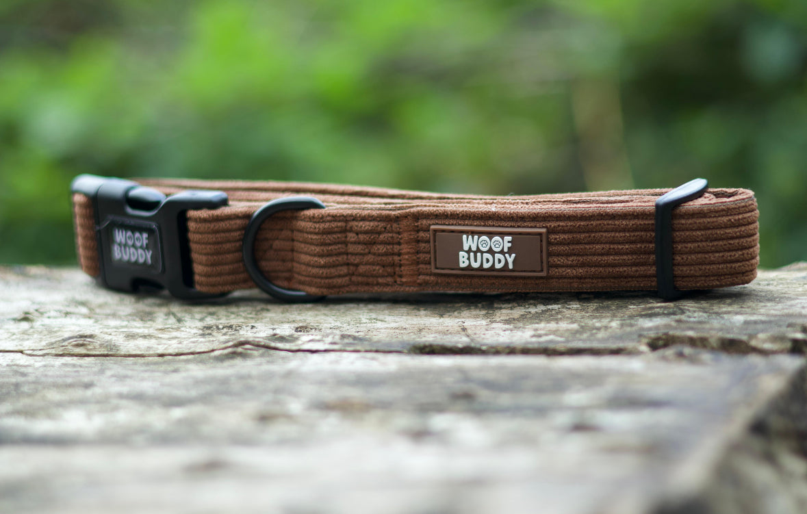 Forest Paws Collar