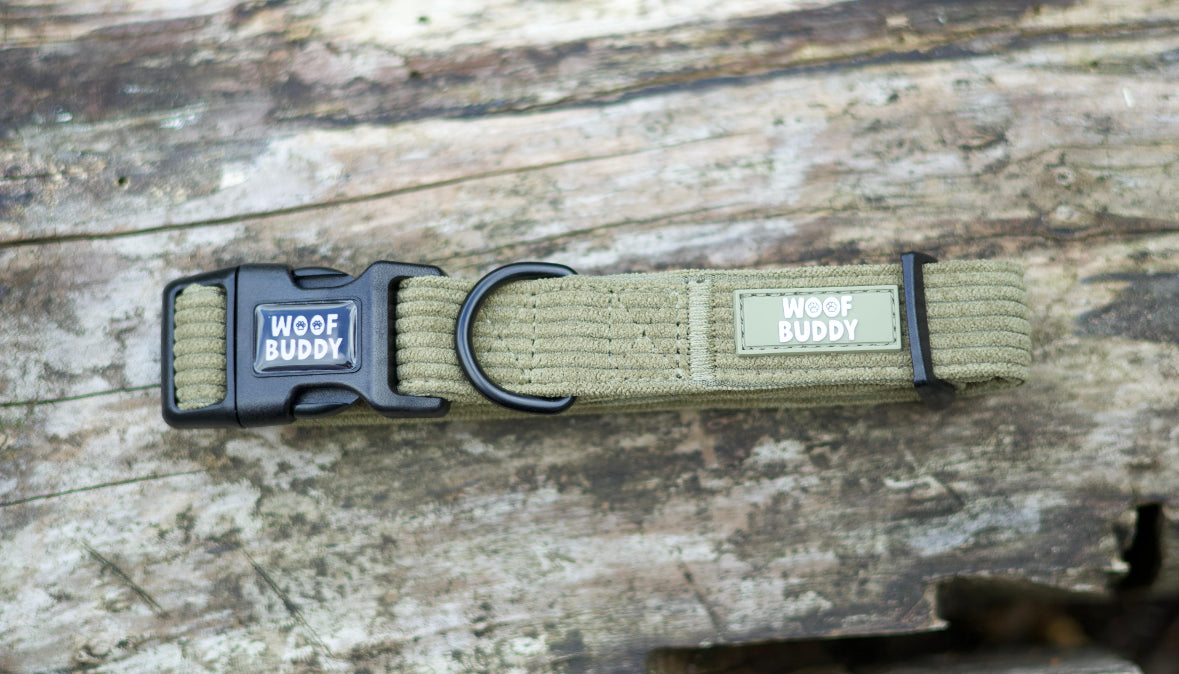 Trail Buddy Collar