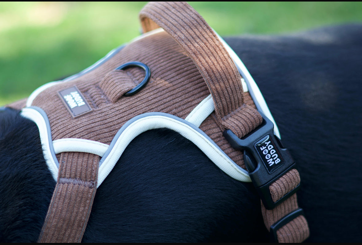 Forest Paws adjustable harness