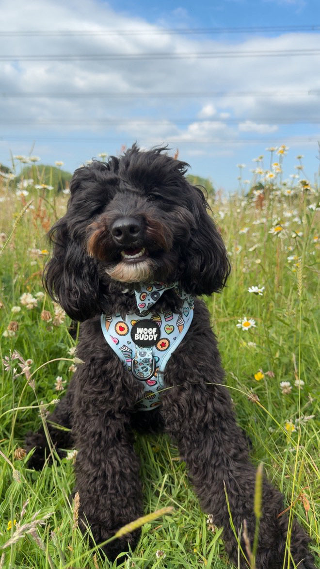 Some Buddy Loves You Adjustable Dog Harness