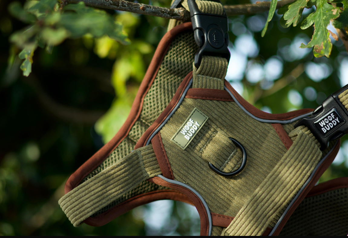 Trail Buddy adjustable harness