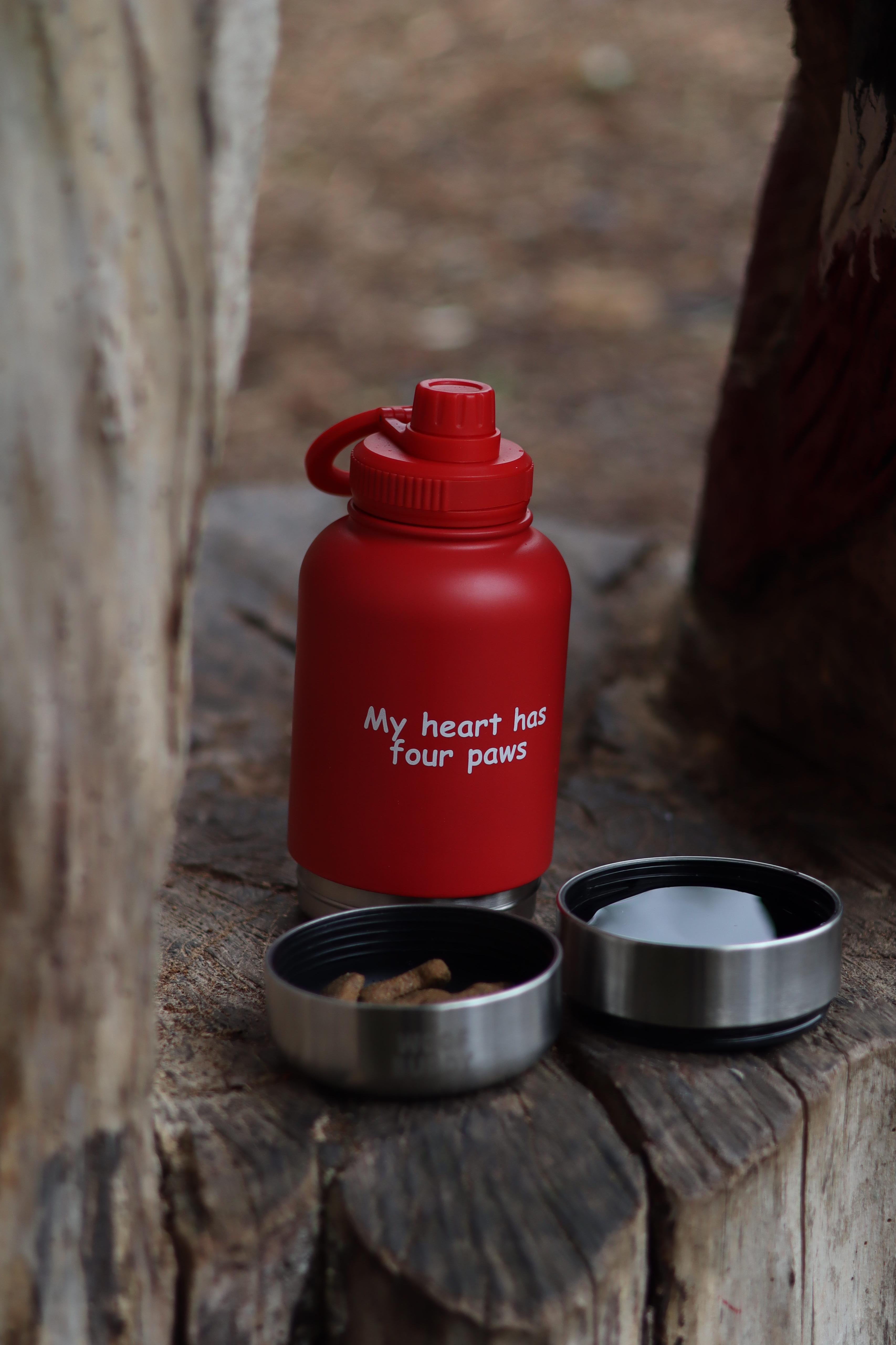 Buddy Bottles - 3 in 1 Water bottles