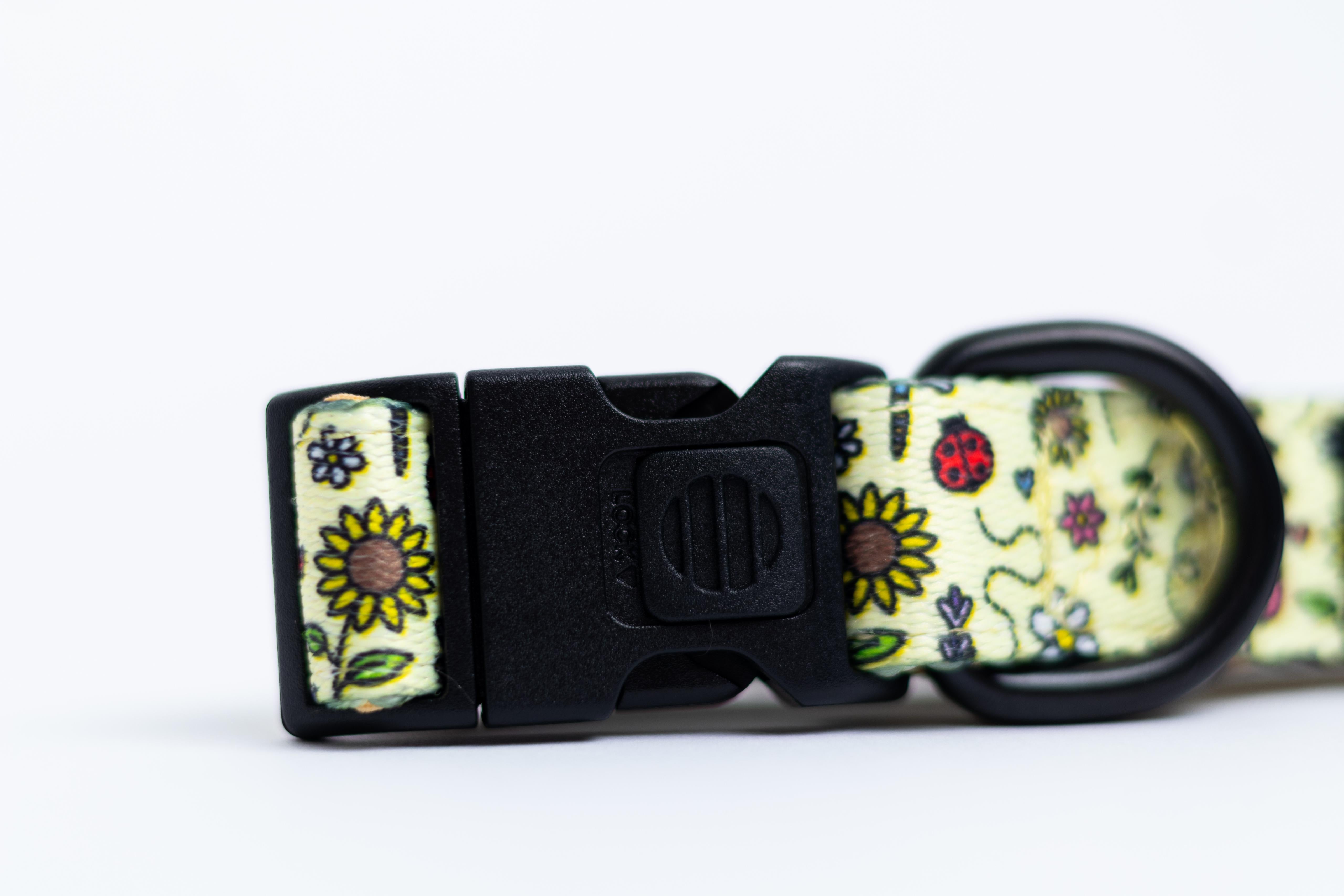 Buzzy Blooms collar