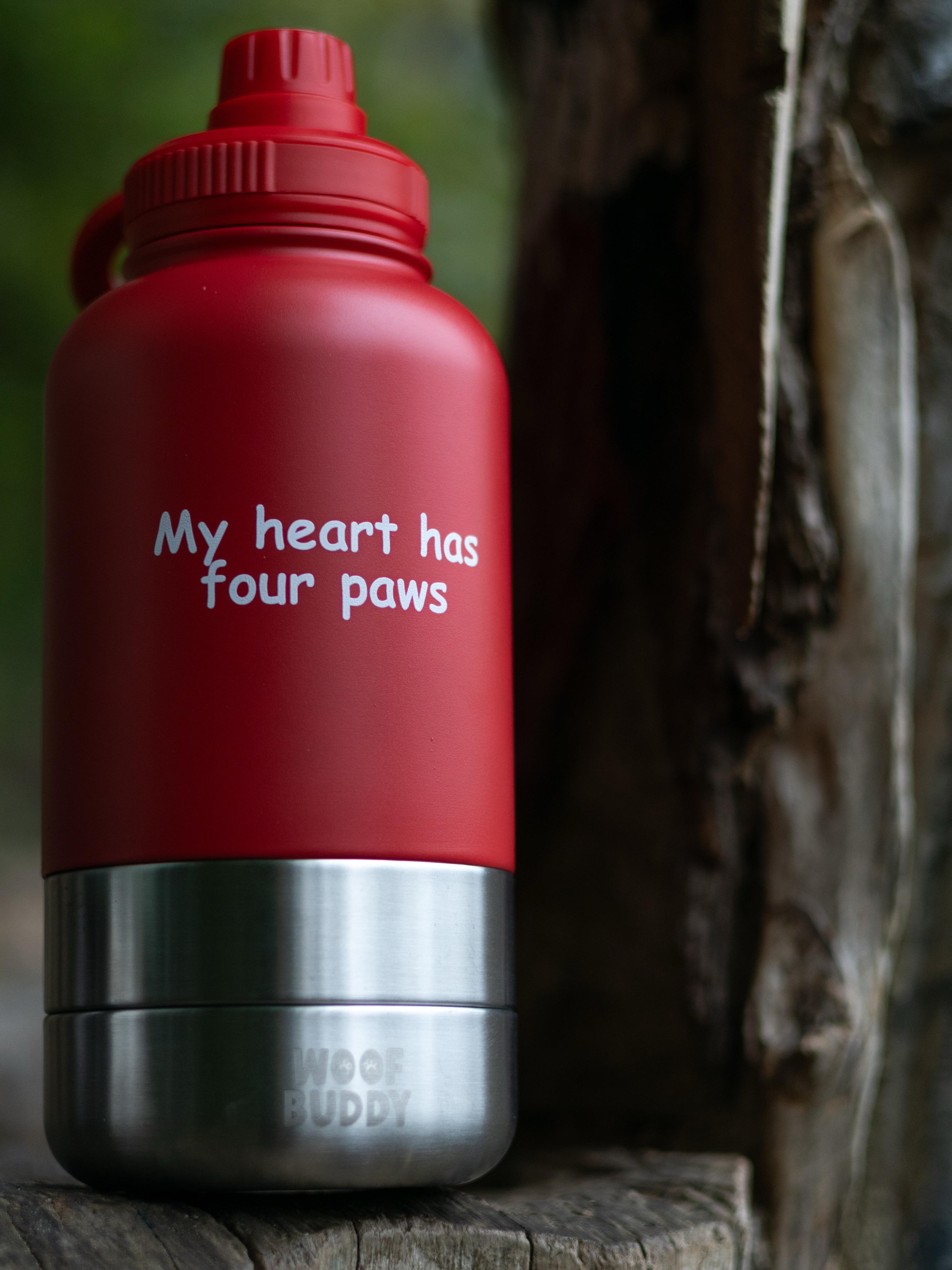 Buddy Bottles - 3 in 1 Water bottles