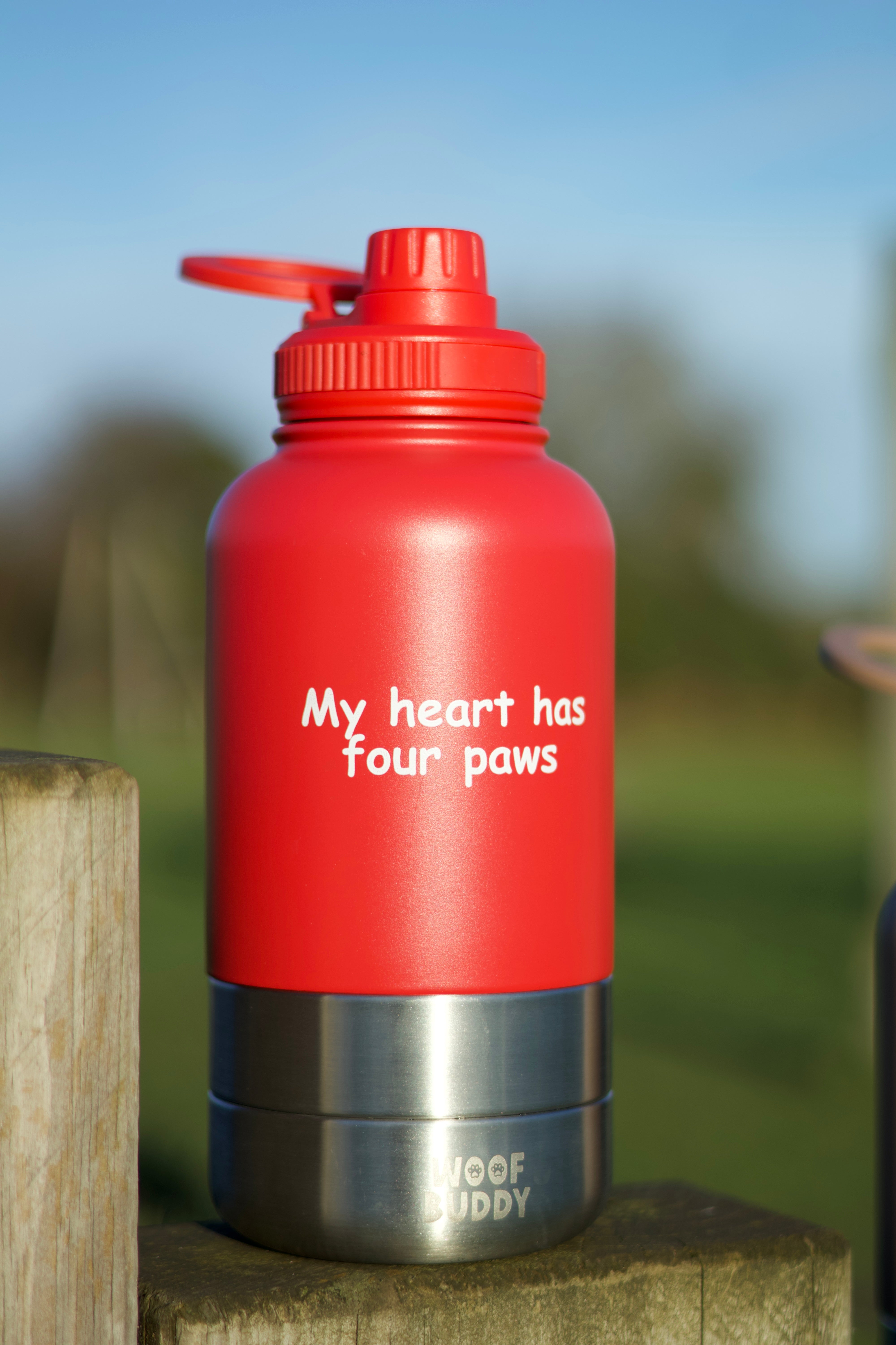 Buddy Bottles - 3 in 1 Water bottles